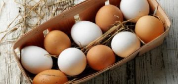 white-or-brown-which-color-eggs-are-best-to-us