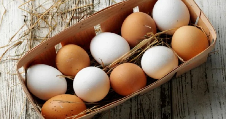 white-or-brown-which-color-eggs-are-best-to-us